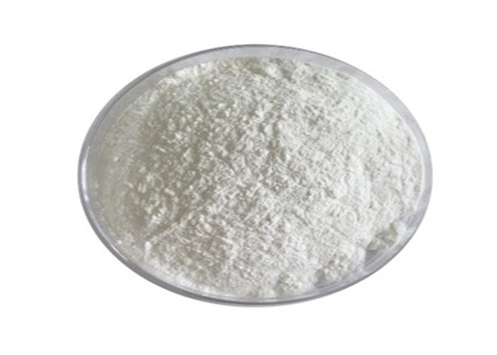 CAS C12H24O11 HALAL Maltose Sugar Powder  Substitute Improve Human Immunity